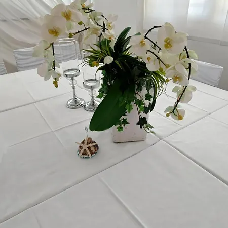 Oxford 4* Lido di Jesolo